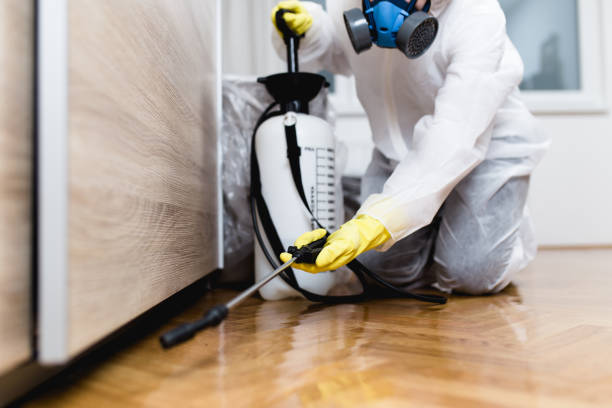 Best Pest Prevention Services  in Marion, VA