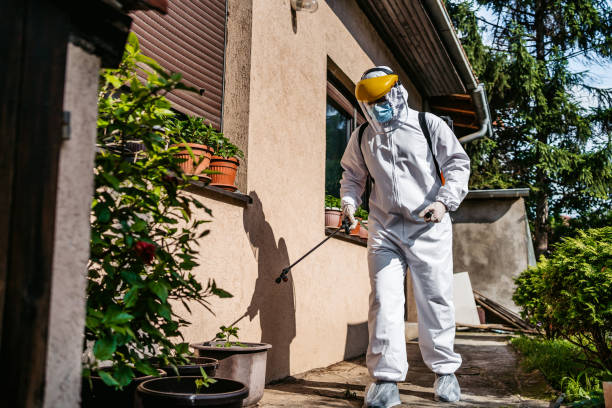 Best Affordable Pest Control Services  in Marion, VA