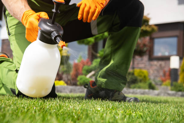 Best Wasp Removal Services  in Marion, VA