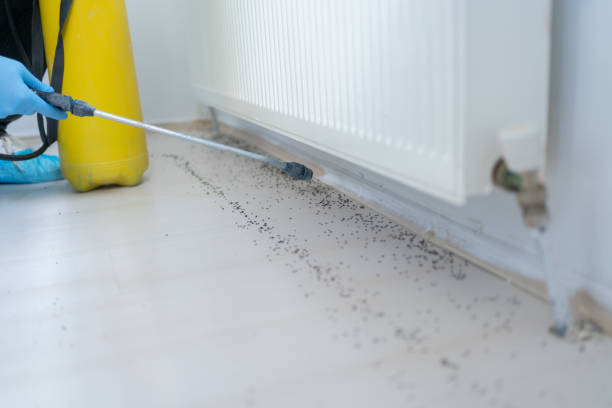 Best Cockroach Control Services  in Marion, VA