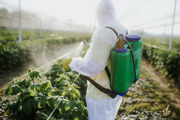 Best Residential Pest Control  in Marion, VA